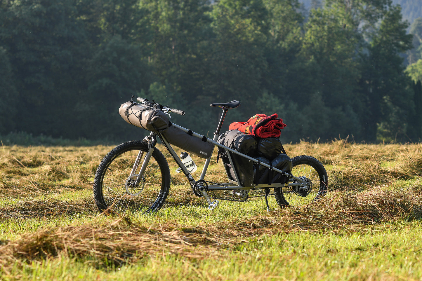Bikepacking Cargobike Field Wood Meaddow Swamp Touring Trekking Traveller Wayfarer