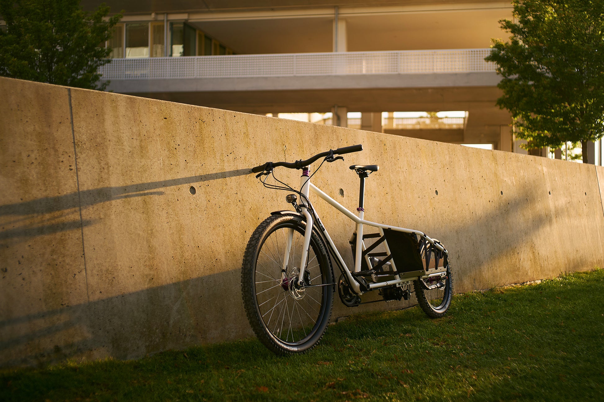 № CUSTOM – Sayle Cycle